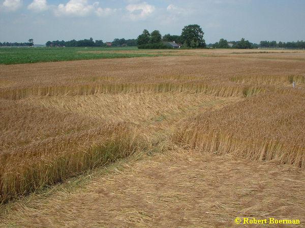 Vledderhuizen, 31-07-2001 - Copyright  Robert Boerman 2001